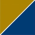 Precision For Medicine logo