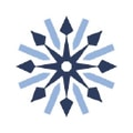 Nivoda logo
