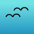BlackBird logo