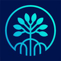 Mangrove logo