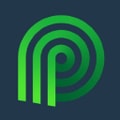 Palmetto logo