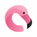 Flamingo logo