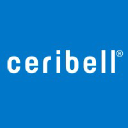 Ceribell background image