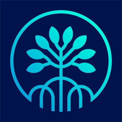Mangrove background image