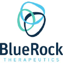 BlueRock Therapeutics background image