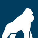 Health Gorilla background image