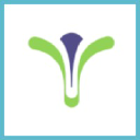 Gynesonics background image