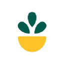 Grow Therapy background image