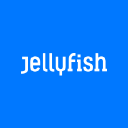 Jellyfish background image