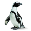Californiaacademyofsciences background image